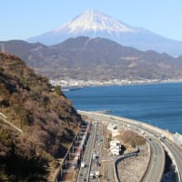 外国人による轢き逃げ事件複数・・所謂「外免切替」厳格化を急げ