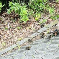愛すべき人たちのこれから