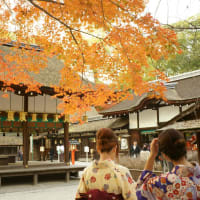 美の狩人　京都　紅葉の巻