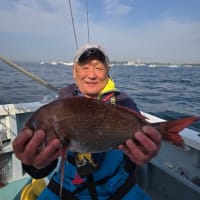 真鯛狙い🎣真鯛全員ゲット❗️