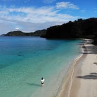  GoToで西表島#6(イダの浜）
