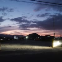 下痢をしていないのにCD検査