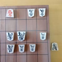 第２回王将戦を行いました