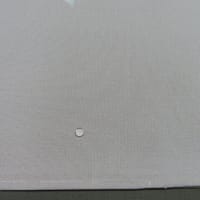 貸衣装訪問着単衣（撥水加工済み）シャンパンしみ　水洗い・しみ抜き　正絹素材