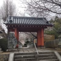 2024-4　奈良🌸桜