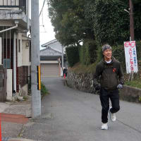 ジャッキーの「遠くへ行って走りたい」（山の辺の道編①）　jogging on the historical road from Sakurai to Tenri in Nara