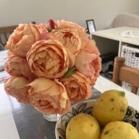 薔薇の季節も終了　今年も楽しみました。