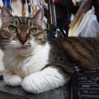 久しぶりだね