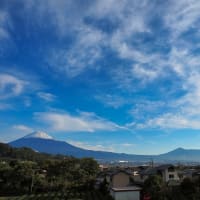 かりがね堤、岩本山　富士山