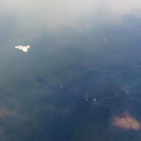 暑かった…