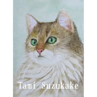 絵画販売・水彩画原画「グリーンアイの猫」