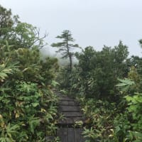 霧雨の中丸山コース　ピストン