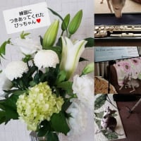 うれしいお花♪