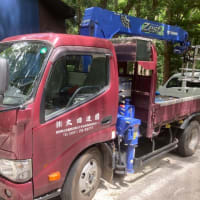 芝追加
