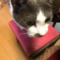 温泉へ行きました。