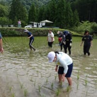６月２日（月）除草作業　１回目