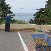 ホーム中庭草取り！！