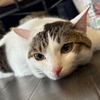 メイちゃんをレスキューして丸3年です🎉