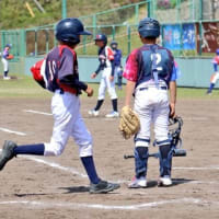 試合予定(全日本学童・Ｄブロック)