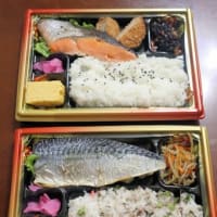 根室花まる　タルト　魚屋さんのお弁当