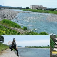６／２０（土）神奈川県松田町薮下「酒匂川」．．．天気良いが釣り人少なく、釣果も伸びず