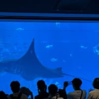 2025年7月　沖縄旅行！　2日目