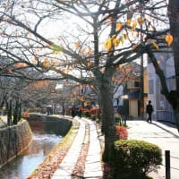 06/29奈良京都への旅-17（紅葉の銀閣寺）