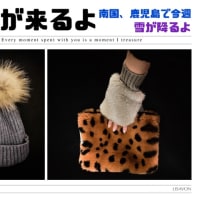 突然、出番が来たよ！
