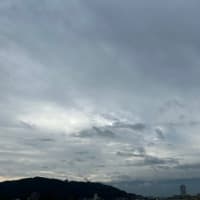 灼けた・・・か・・・