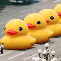 フラット脆弱性とは？