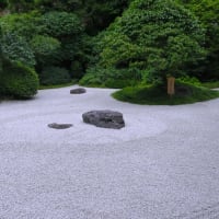 鎌倉散歩～若宮大路段葛・報国寺