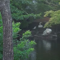 夕方ウォーキングで暑熱順化～♪