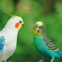 記事を更新しました！7月15日（火）