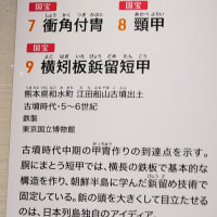 大宰府市の散策記　on　2025-4-9＆4-10　その15 　九州国立博物館