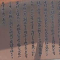 楽しいウォーク「多々良川河川敷と陣の越道を歩く」（福岡市東区）