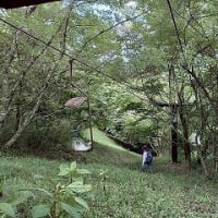 小鹿山～神楽女湖花菖蒲5分咲き
