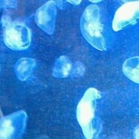 ふと 思った…