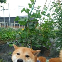 休日の過ごし方