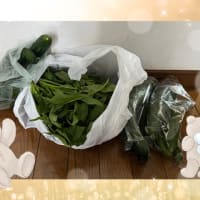 家にある物クッキング&エーデルワイス