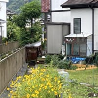 25日からのウォーキング