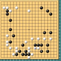 第３７期名人戦第６局～羽根直樹の碁も天ぷら蕎麦も復活～