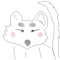 白狐の顔