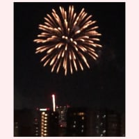 ★隅田川花火大会2025（動画あり）★