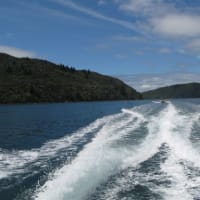 キャンパーバンで巡るニュージーランド南島の旅 その６ ～ クック船長の足跡 ～ 