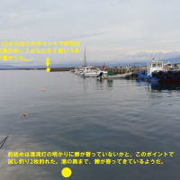 鯵釣り
