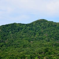 2025.07.13(日)AM06:13の藻岩山・平和祈念塔・手稲山・三角山・円山