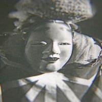 新進の写真家