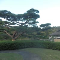 日本庭園・昭和記念公園