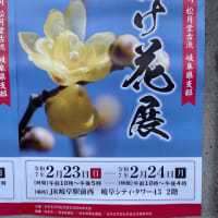 日本生花司松月堂古流　岐阜県支部　いけ花展