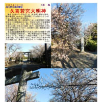 花巡り「梅－346」　久喜若宮大明神